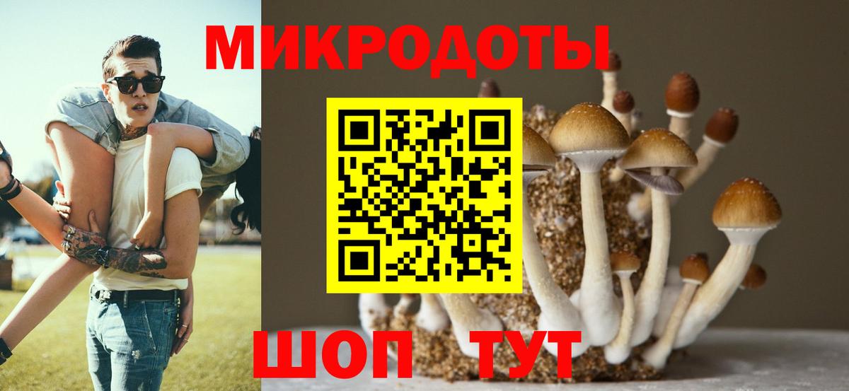 Галлюциногенные грибы Psilocybine cubensis Махачкала